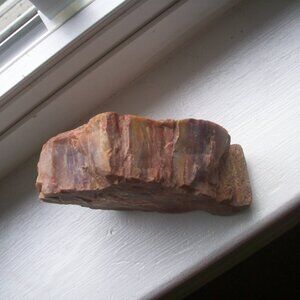 3x4" Arizona Rainbow Petrified Wood Slab - Cross Section Rough Colored & Bark